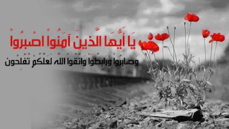 شبكة المعارف الإسلامية:الصبر
