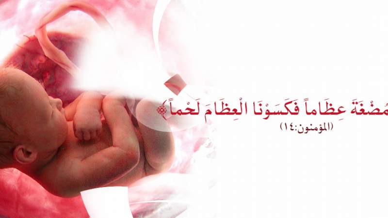 شبكة المعارف الإسلامية:خلق الانسان بين العلوم التجريبية والقرآن الكريم (4)